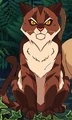 Tigerstar on the cover of Tigerstar and Sasha