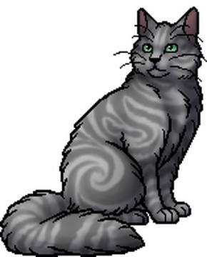 Gray and white warrior cats cheap