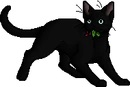 Jayfeather.mca.alt.png (7 KB) Alternative Medicine Cat Apprentice Version