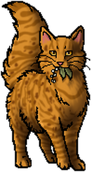 Thunderclan Warrior Cat Wiki Fandom Powered By Wikia - Warrior