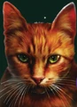 Squirrelstar.SE-12-2.png (328 KB) Squirrelstar on the cover of Squirrelflight's Hope