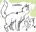 Concept artwork for Cinderpelt