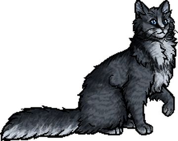 Cats of the Clans, Warriors Wiki