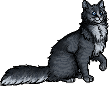 Why I think Jayfeather should have been a warrior by Mountainstorm