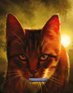 First look at brand new Warrior Cats artwork from The Ultimate Guide:  Updated and Expanded Edition