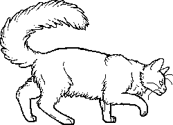 Guess that cat based off the oddly designed Warriors Wiki sprite! :  r/WarriorCats
