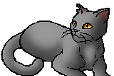 Bookclan - Ravenpaw, Wiki