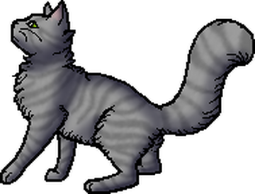 Why does Frostpaw have a leader version??? (Wiki) : r/WarriorCats