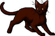 Kitescratch, Warriors Wiki