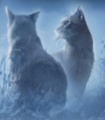Tawnypelt on the cover of The Elders' Quest