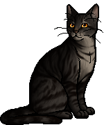 Halftail | Warriors Wiki | Fandom