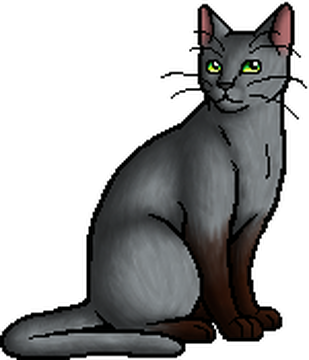 Mudclaw ShC Warriors Wiki Fandom