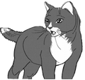 Patch (KP) in Escape from the Forest