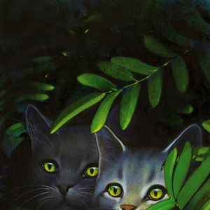 Graystripe Warriors Wiki Fandom