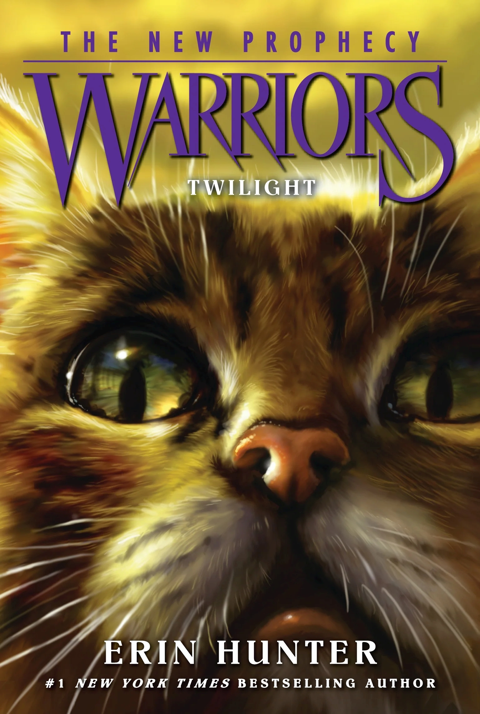 Warriors: A Starless Clan #5: Wind by Erin Hunter, Hardcover