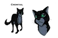 Concept artwork for Crowtail