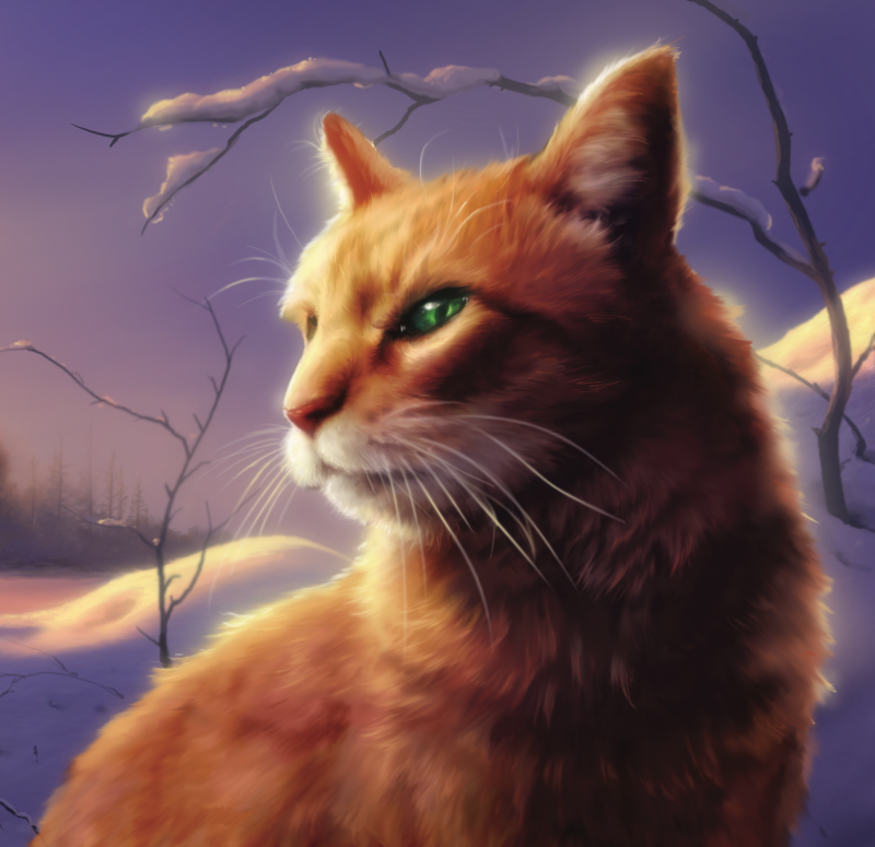 Flamepaw (TC), Warriors Wiki, Fandom