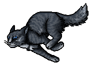 ◁ WARRIORS ▷ Jayfeather & Half Moon, Blind