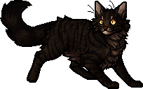 Tigerstar (TPB), Warriors Wiki, Fandom