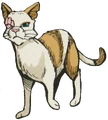 Brightheart in Ravenpaw's Path