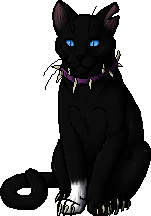 Scourge Warriors Wiki Fandom - list of warrior cats roblox game commands