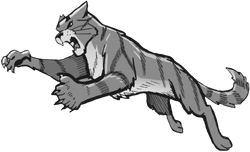 Tigerstar II, Abetterwarriorcatswiki Wiki