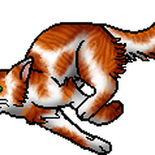 Fallen Leaves Warriors Wiki Fandom