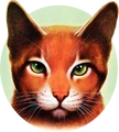 Firestar.OTS-6.png (1.47 MB) Firestar on the cover of The Last Hope