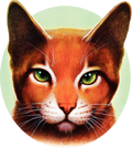 Firestar on the cover of The Last Hope