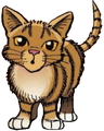 Leafpool in Ravenpaw's Path