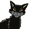 Rockshade in SkyClan and the Stranger