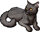 StarClan Version