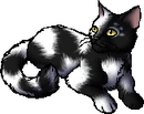 Finchflight.star.png (21 KB) StarClan Version