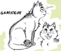 Concept artwork for Graystripe