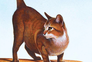 Lionpaw and Ashfur .:Warrior Cats:. rivstars - Illustrations ART street