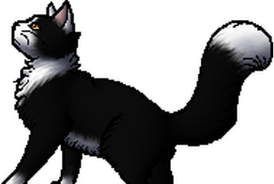 What if Mosskit survived?, Warrior cat What if's