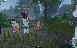 Name and descriptions.screenshot