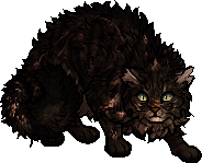 warriors cat stuff — t4wnyclaw: warrior cat wiki says ashfoot is the