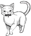 Cinderpelt.GA-3.png (49 KB) Cinderpelt in Warrior's Return