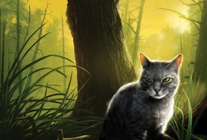 SkyClan journeyed for nearly a year to find the other Clans by the lake