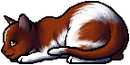 Kit Version