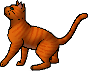 Firestar, Warrior cats Wiki