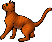 Firestar Warriors Wiki 