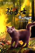 Simplified Chinese Language Edition Released in China