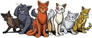 About  ○The Four Clans○ Warrior Cats Amino