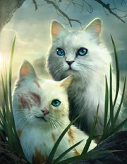 ThunderClan remembers the pack through Brightheart, but also remembers Cloudtail's efforts to care for her following the tragic attack