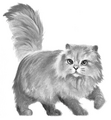 Featherwhisker in Secrets of the Clans