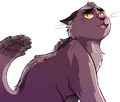 Graystripe in The Prophecies Begin, volume 2