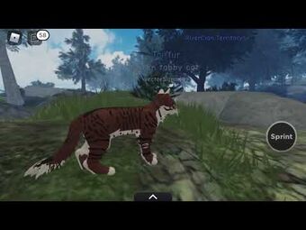 Warrior Cats Ultimate Edition Warriors Wiki Fandom - warrior cats ultimate edition cats life roblox Warrior Cats Ultimate Edition Warriors Wiki Fandom - cats life roblox