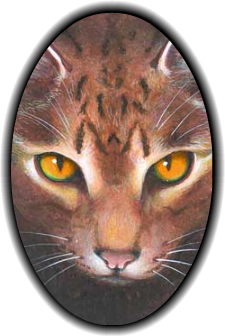 Brambleclaw, Warriors Wiki